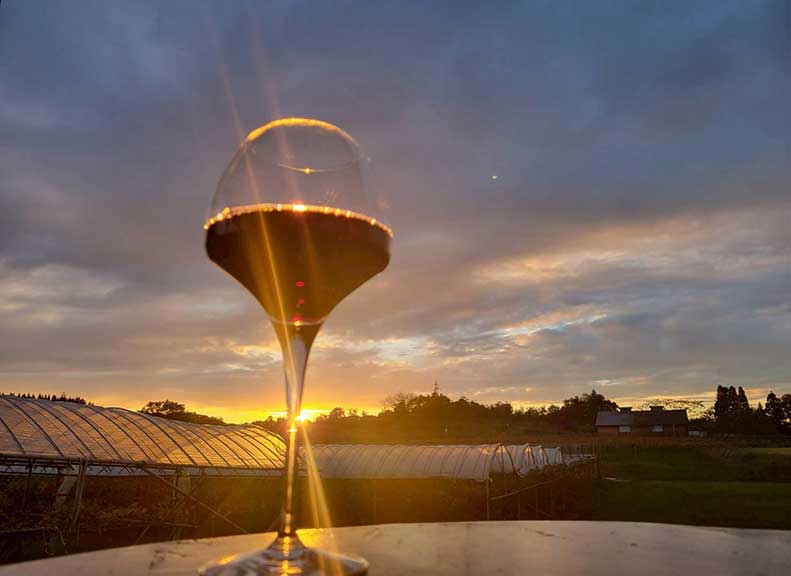 広大なブドウ畑を望みにぎわう農園カフェ