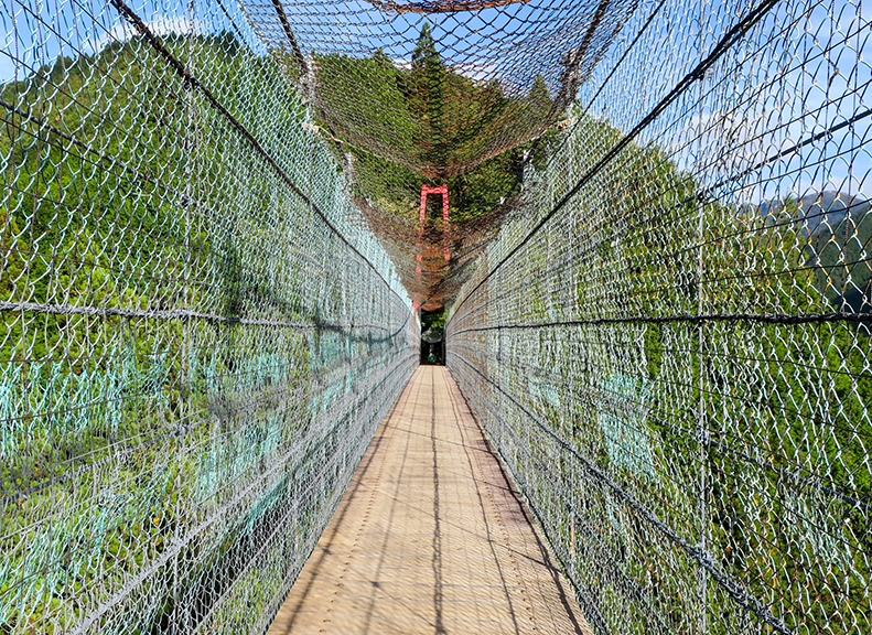文化や自然に触れる見どころ満載な温泉郷