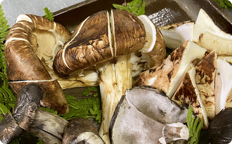 産地ならではの上質なきのこは芳醇な香りとうまみが特徴。「おまかせコース」5,500円～