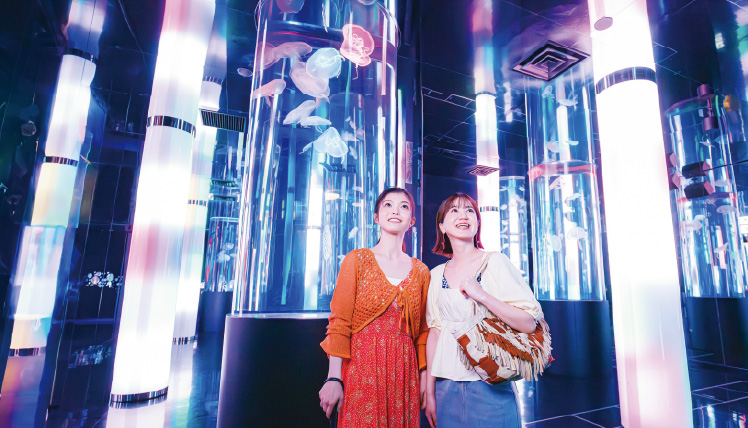 いわゆる水族館とは一線を画したユニークな展示