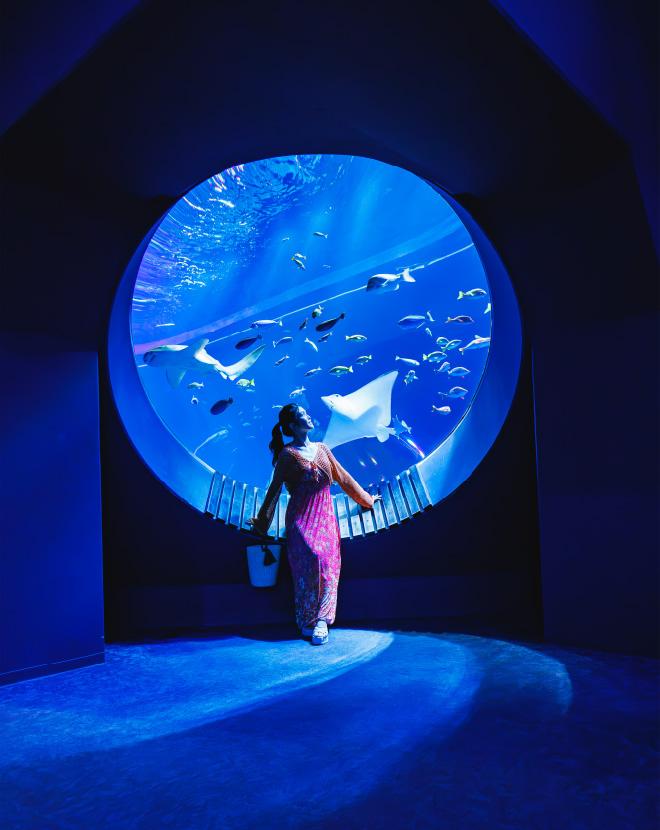 DMMかりゆし水族館