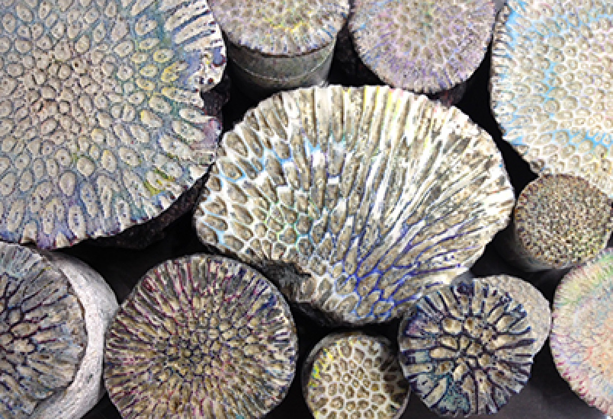 サンゴの化石を使って自然のデザインの美しさを引き出す