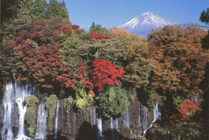 11月中旬～下旬頃は紅葉が美しい