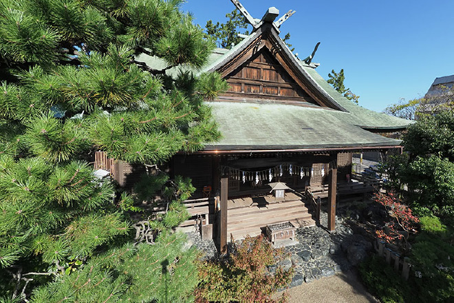 新潟大神宮