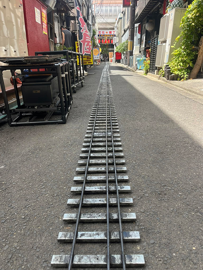SL運行イベントでレールが敷かれた「文化横丁」