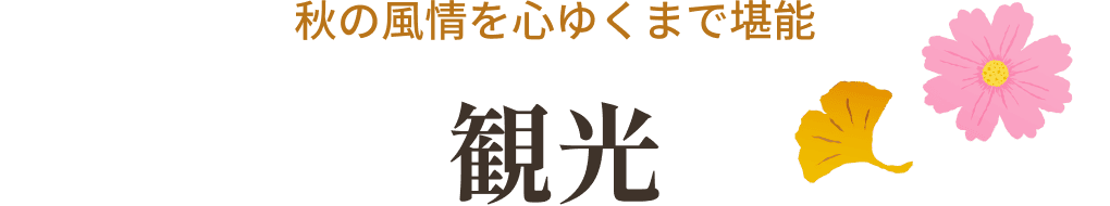 秋の風情を心ゆくまで堪能 観光