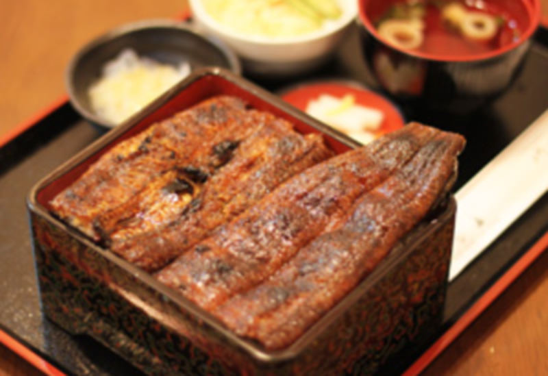 うな嘉