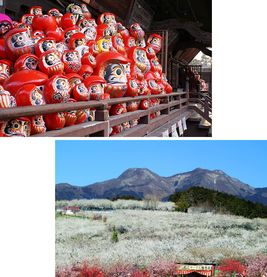 写真：(上)だるま、(下)榛名山