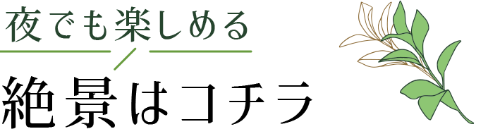 夜でも楽しめる,自然美はコチラ