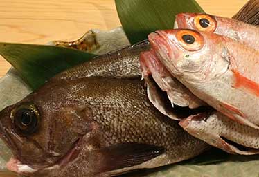 和彩酒菴しずく