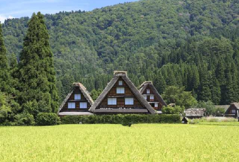白川郷合掌造り集落