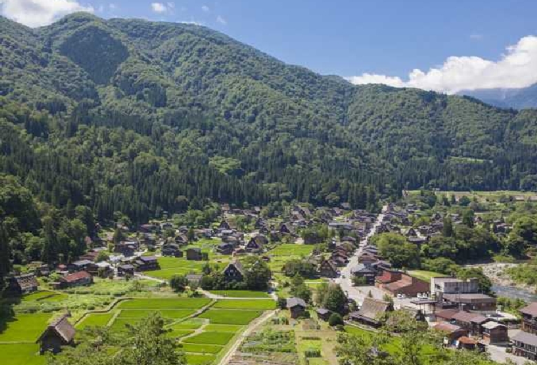 白川郷合掌造り集落