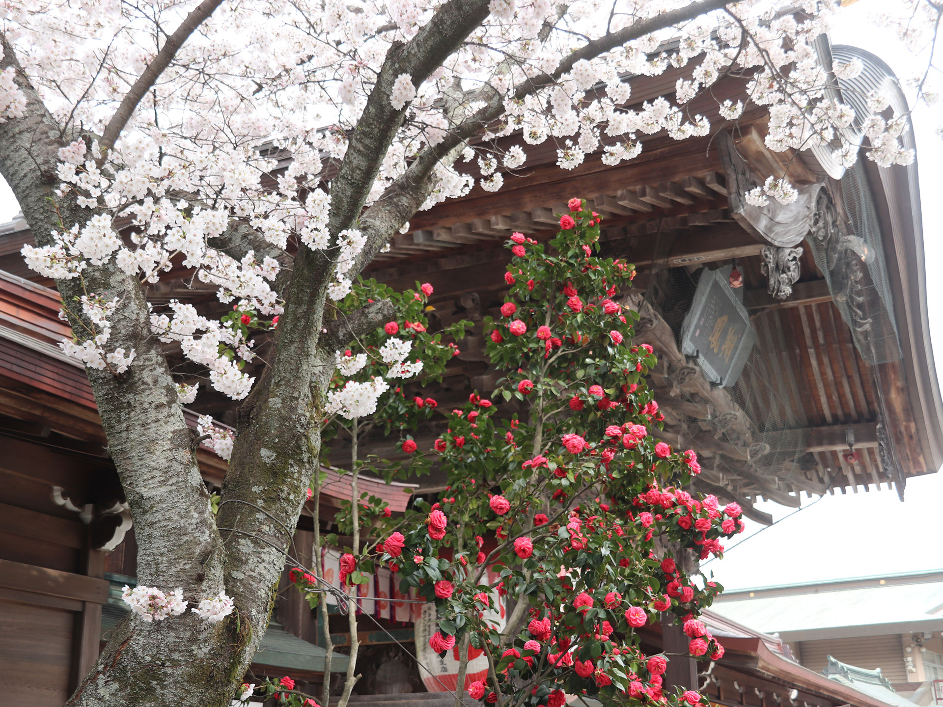 竹駒神社