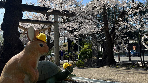 春の画像1