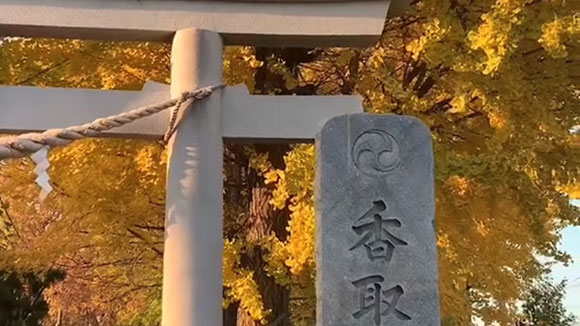 秋の画像1