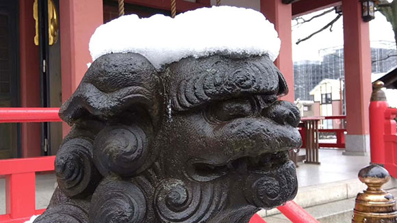 冬の画像1