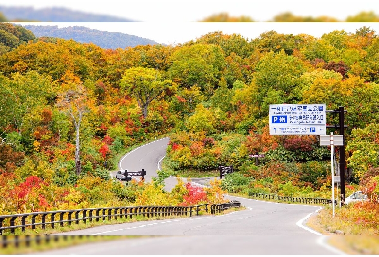 八幡平アスピーテライン（岩手県側）