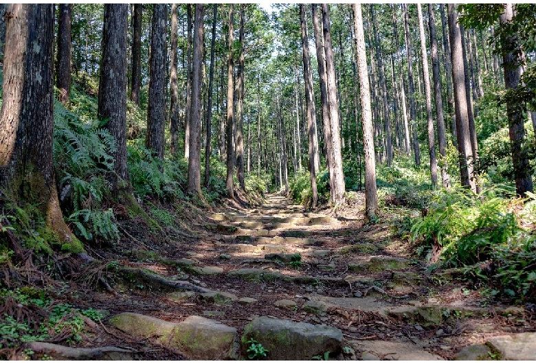 熊野古道（紀伊路）