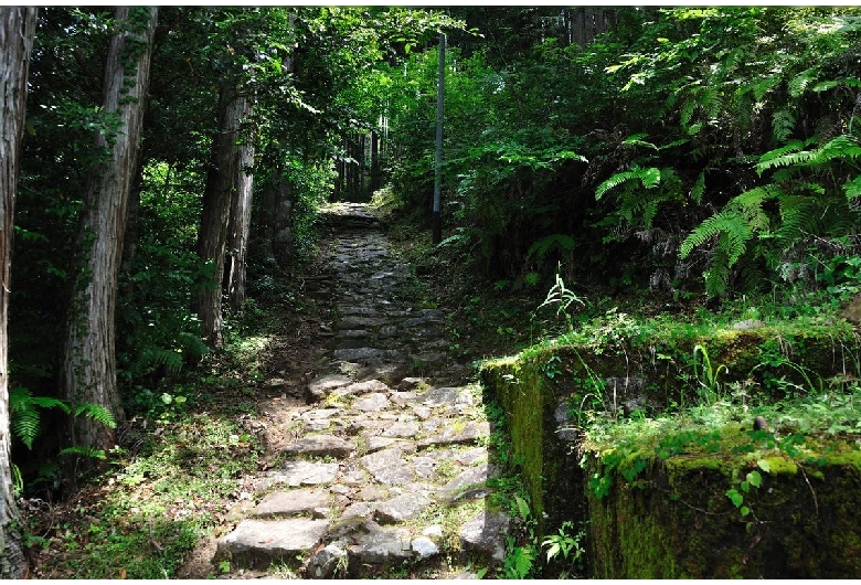 熊野古道（小辺路）