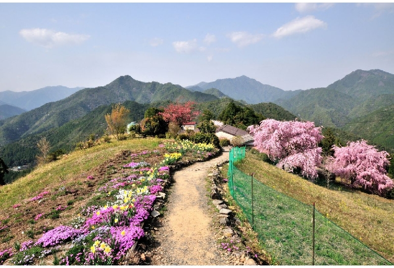 熊野古道（小辺路）