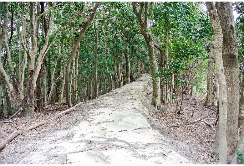 熊野古道（大辺路）