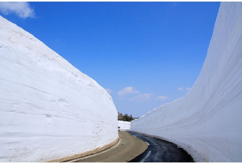 雪の回廊（八甲田）