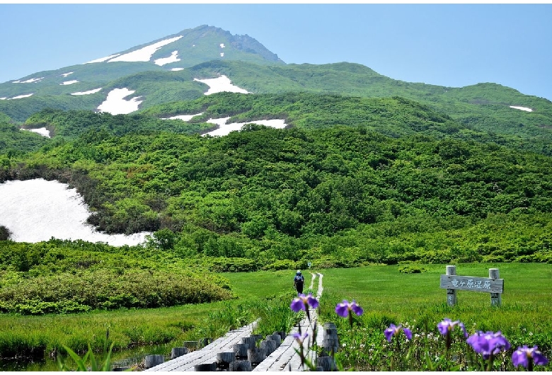 祓川・竜ヶ原湿原