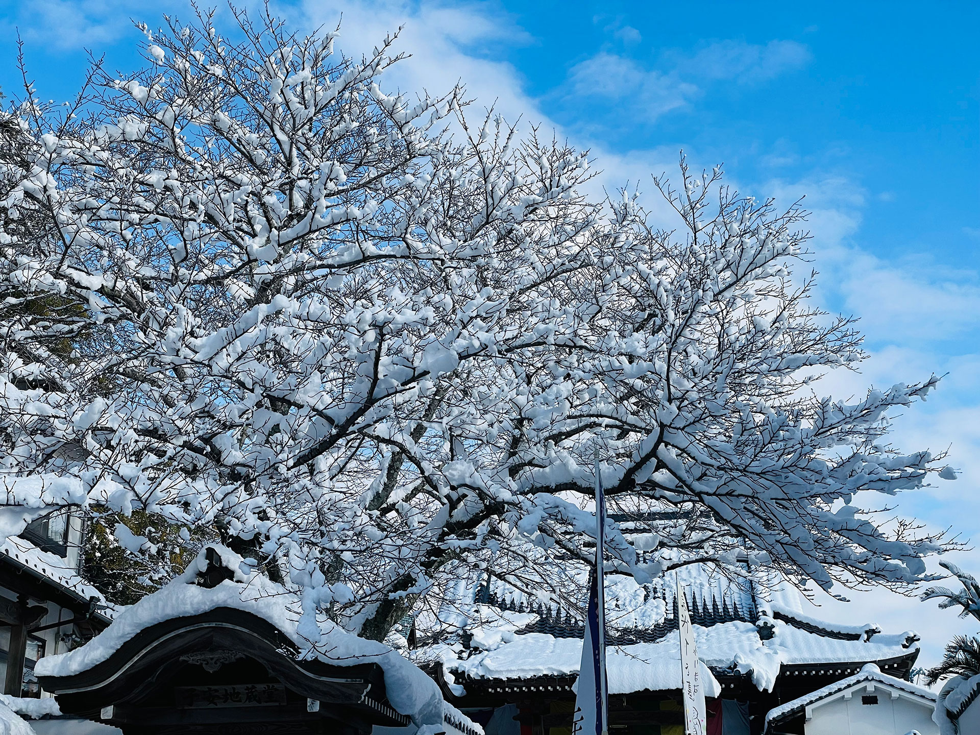 秋葉山　光妙院
