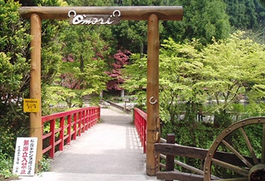 大森リゾートキャンプ場