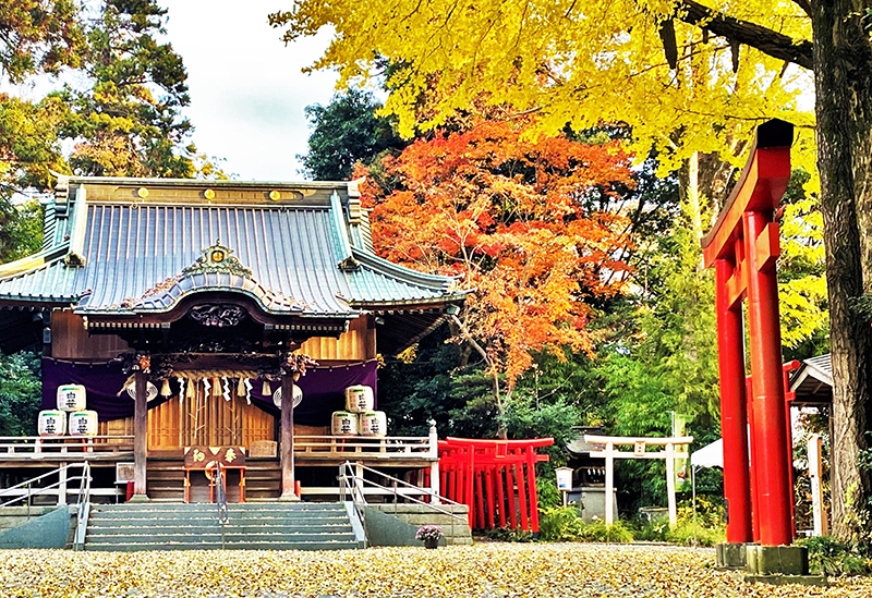 白笹稲荷神社