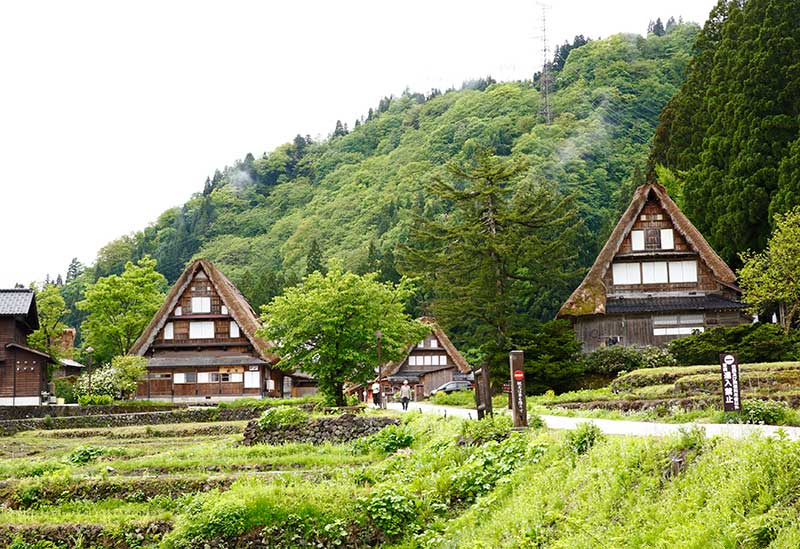 福光タクシー株式会社