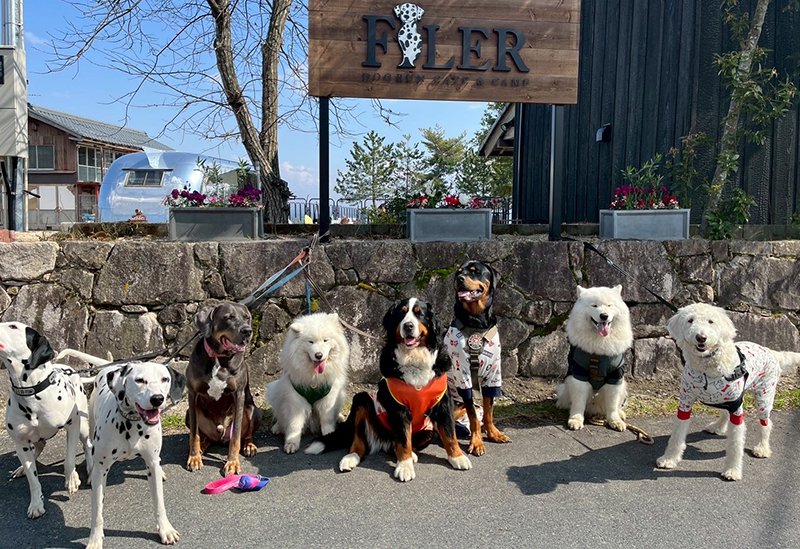 FILER Dog Ran＆Cafe