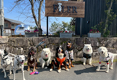 FILER Dog Ran＆Cafe
