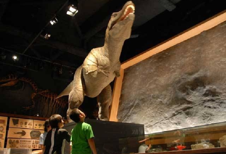 富山市科学博物館