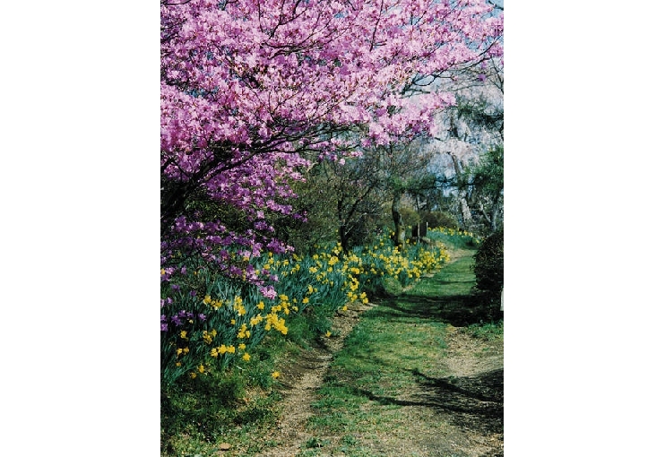 群馬フラワーハイランド