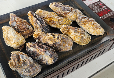 淡路島タコステ