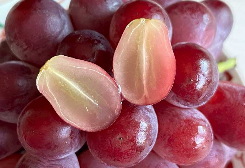 やまふじぶどう園