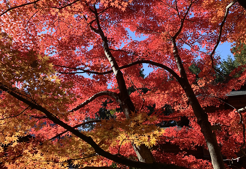 滑川神社