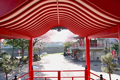 春の画像2