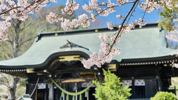 春の画像1