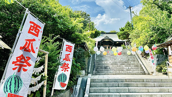 夏の画像1