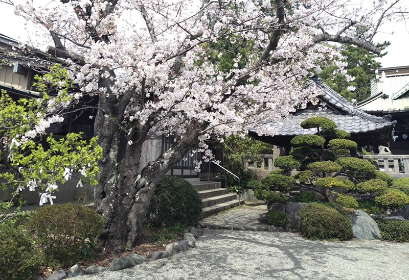 第六天神社