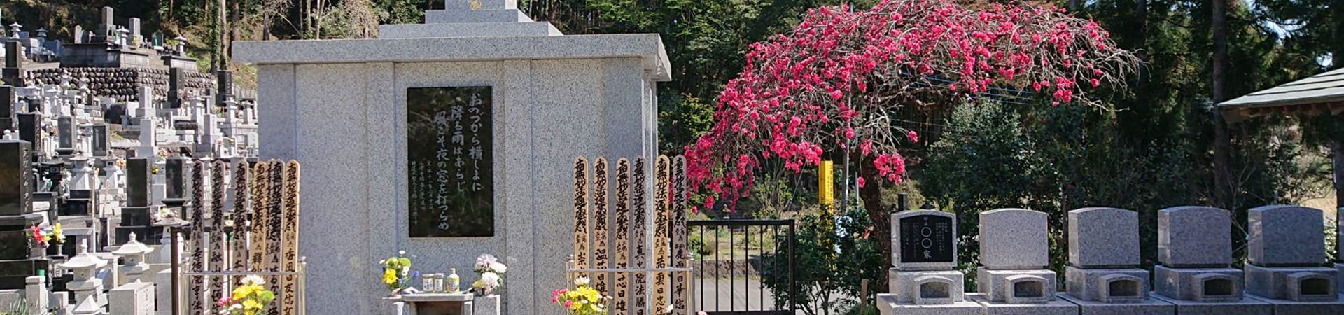 弘法山 三澤寺