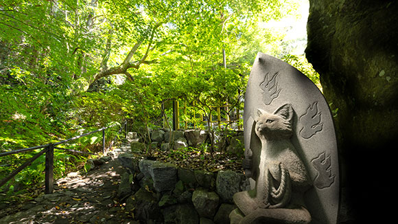 夏の画像1
