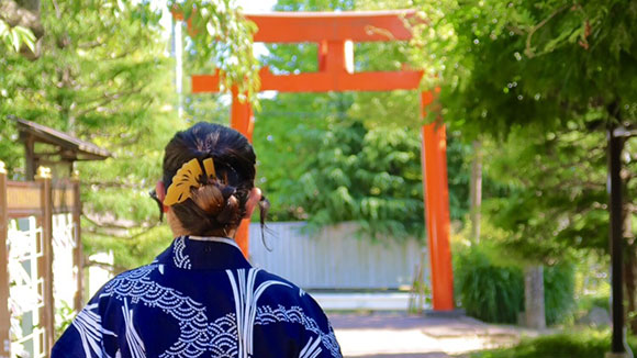 夏の画像1