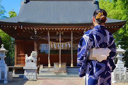 夏の画像2