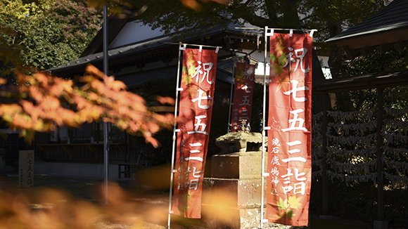 秋の画像1