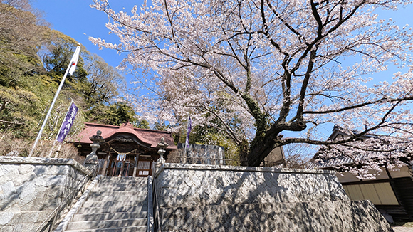 春の画像1