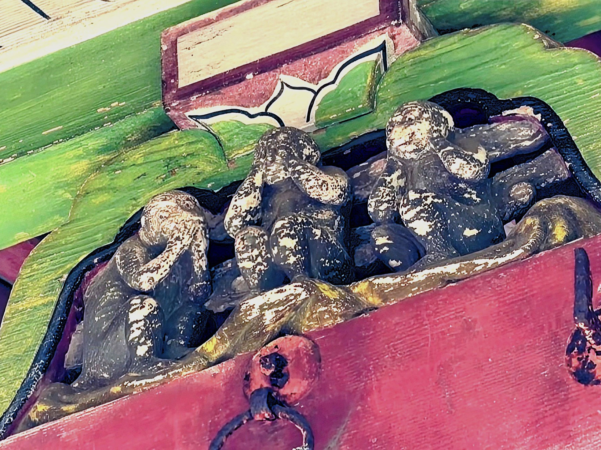 筑波山神社