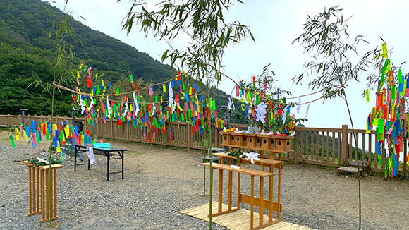夏の画像1